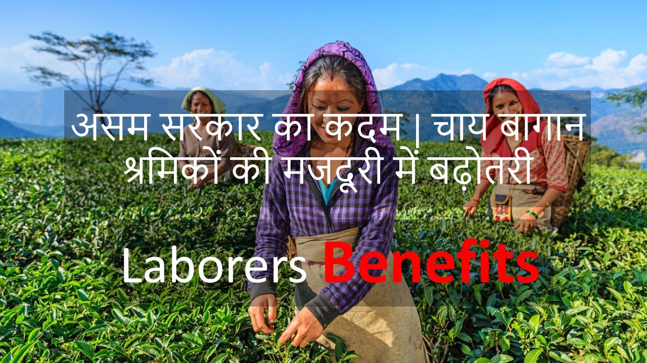 असम सरकार का कदम | चाय बागान श्रमिकों की मजदूरी में बढ़ोतरी